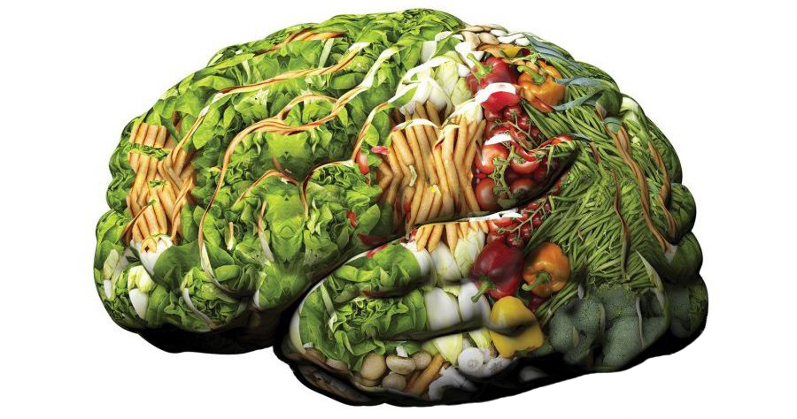 alimenti-cervello